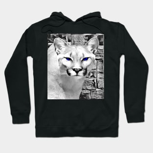 Puma Black and White Spray Paint Wall Hoodie